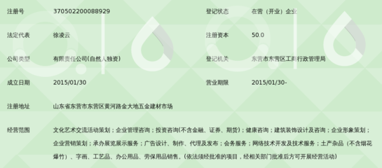 东营金喜鹊文化传媒 连接艺术与商业的文化艺术咨询服务专家